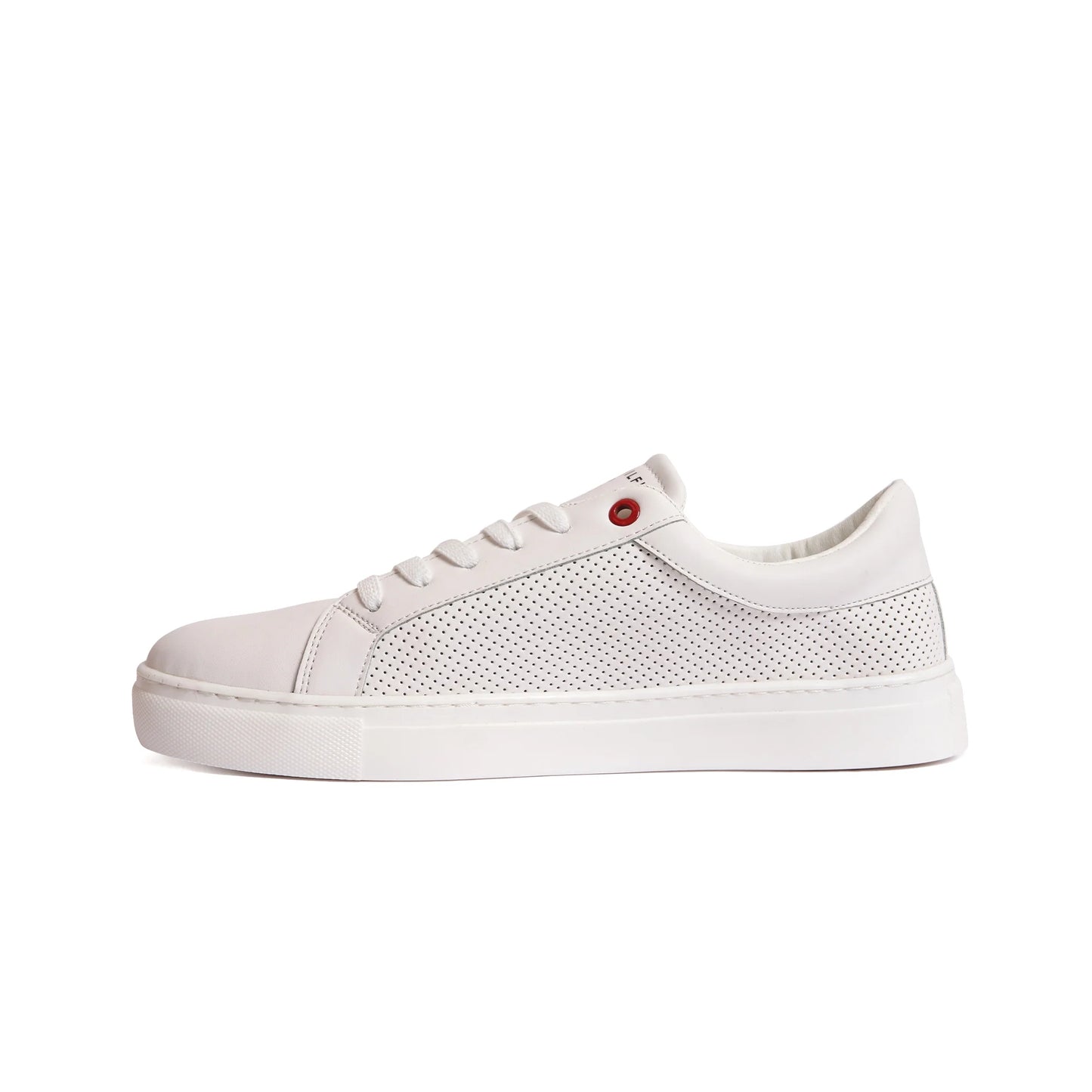 New comfartable Fashion Sneakers with WHITE Color ,Scarpa Model V160